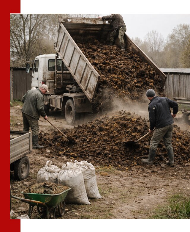 Доставка коровьего навоза самосвалом в Мурманске